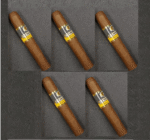 Cohiba Siglo 1 - 5'li Tadım Purosu