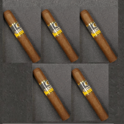 Cohiba Siglo 1 - 5'li Tadım Purosu
