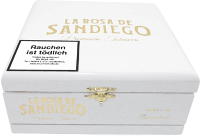 La Rosa De Sandiego Connecticut Inmenso 20'li Puro - Görsel 2