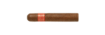 Partagas Serie D No.4 Puro 10'lu - Görsel 3