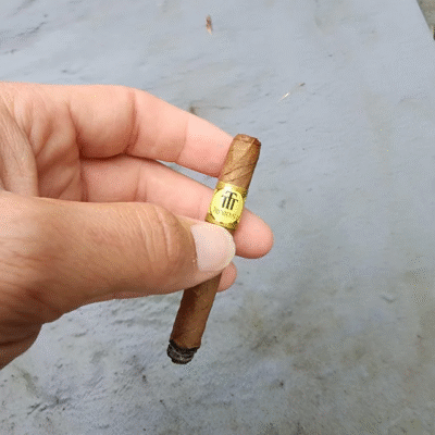 Trinidad Short 10 Puro 1 Paket (10 Adet) - Görsel 3