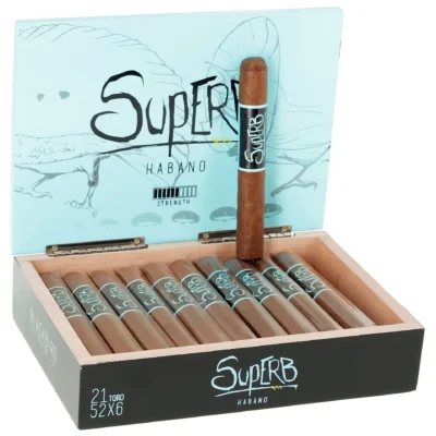 Blackbird Superb Toro 21'li Kutu