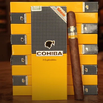 Cohiba Esplendidos 3’lü Puro (Puro’nun Zirvesi) Fiyatı, Ölçüleri ve Tadım Notları