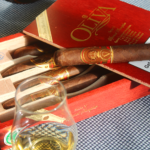 oliva serie v sampler 5'li Premium Puro Tadım Paketi - Görsel 2
